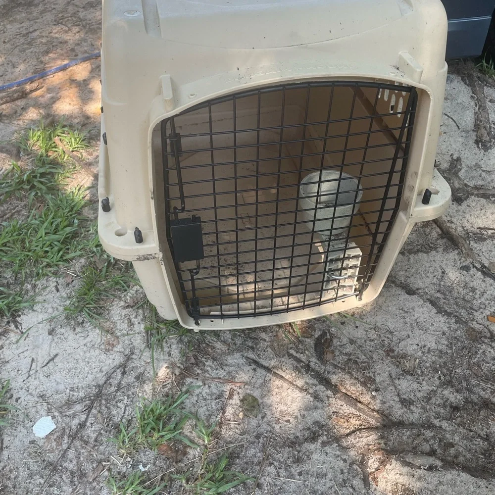Cages $40/each - Picture 2 of 3